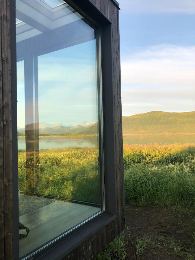 Steigen Lodge Tiny House Bagian luar foto